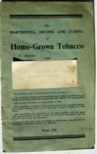 Harvesting Drying Curing Home - Grown Tobacco Troward 1953