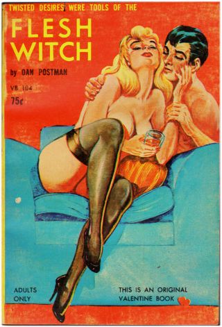 Vintage Flesh Witch Digest Pulp Pb (1964) Dan Postman Valentine Books Sleaze