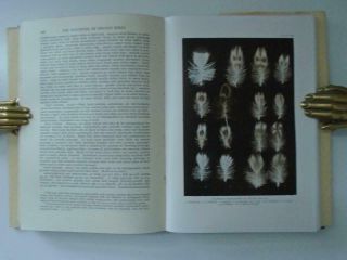 1948 WITHERBY 5 Vols.  The Handbook of British Birds 157 Plates Ornithology 7