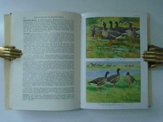 1948 WITHERBY 5 Vols.  The Handbook of British Birds 157 Plates Ornithology 8