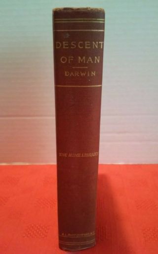 Charles Darwin The Descent Of Man Red Cloth Hardcover 1874 A.  L.  Burt 2nd Edition