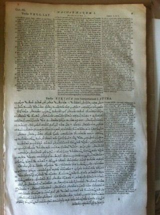 1657 Polyglot Bible Leaf SYRIAC Greek Latin 3