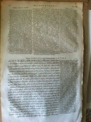 1657 Polyglot Bible Leaf SYRIAC Greek Latin 5