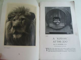 A Kodak At The Zoo,  J E Saunders Fab London Zoo Photos,  Photography Hints c1930 ' s 3