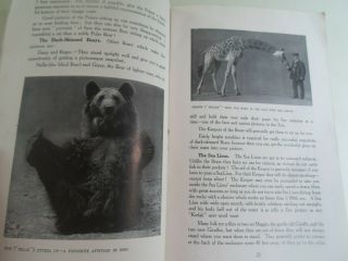 A Kodak At The Zoo,  J E Saunders Fab London Zoo Photos,  Photography Hints c1930 ' s 5