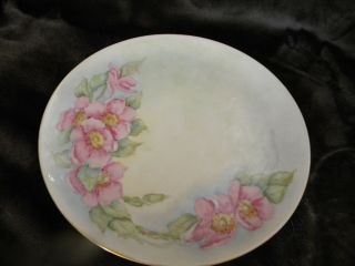 Vintage Hand Painted Signed By Artist Made In Germany V Plate/excellent