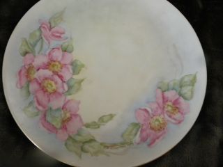 Vintage Hand Painted Signed by Artist made in Germany V Plate/EXCELLENT 2