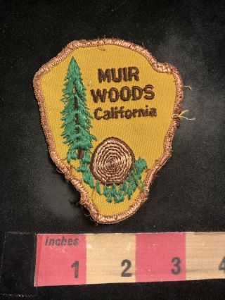 Vtg Coastal Redwood Trees Muir Woods National Monument California Patch 95x4