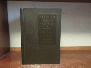 Old Atlas Of Human Anatomy Book Medical Illustration Bone Muscle Heart Physician