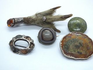 5 Vintage Silver Brooches.  Including Scottish Agate,  Pebble And A Grouses Claw.