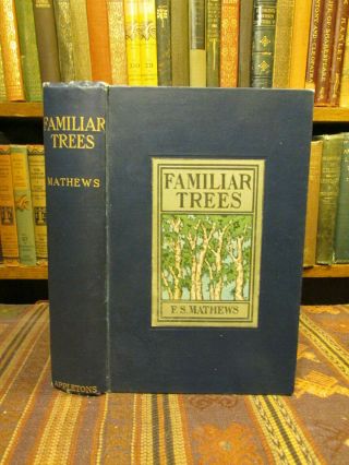 1901 Mathews Familiar Trees And Their Leaves Old Botany Guide Book Color Plates
