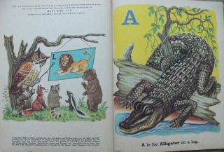 2 Vintage Little Golden Books ANIMAL ORCHESTRA,  ANIMAL ALPHABET FROM A to Z 4