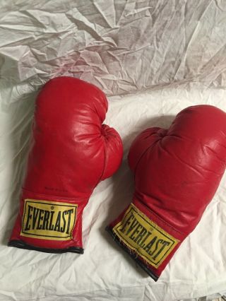 Vintage Everlast Boxing Gloves 12 Oz