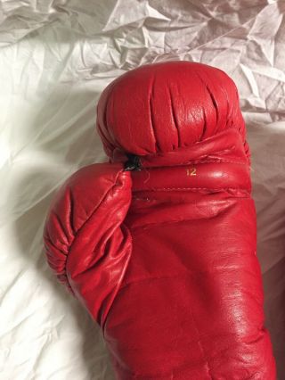 Vintage Everlast boxing gloves 12 oz 5