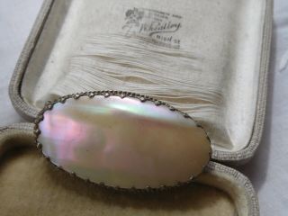 Lovely Vintage 1950s Mother Of Pearl Brooch
