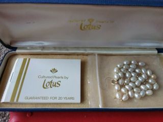Vintage Cultured Pearls By Lotus With 9 Ct Gold Clasp (need Re - Threading)