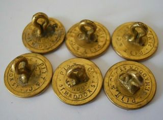 Vintage Hunting Buttons Set Of 6 Storrington Foot Beagles 18 mm maker Pitt & Co 3