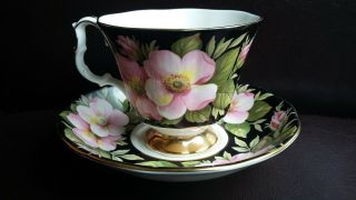 Royal Albert Vintage Provincial Flowers Alberta Rose Cup And Saucer