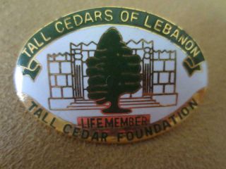 Vtg Tall Cedars Of Lebanon Tcl Lifetime Member Pin Collectible