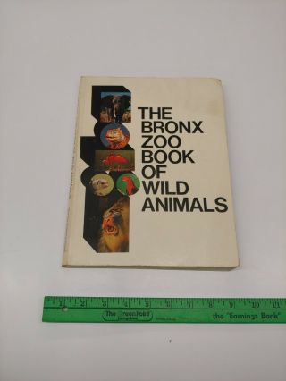 The Bronx Zoo Book Of Wild Animals - Paperback 1968 York Zoological Society