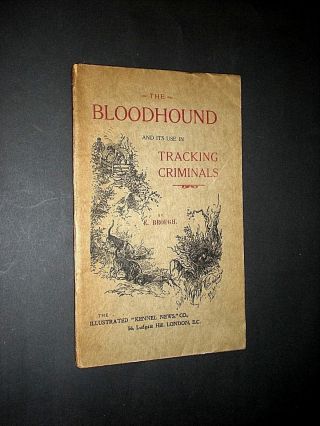 The Bloodhound.  Its Use In Tracking Criminals.  E Brough.  Circa 1910.  Illustrated