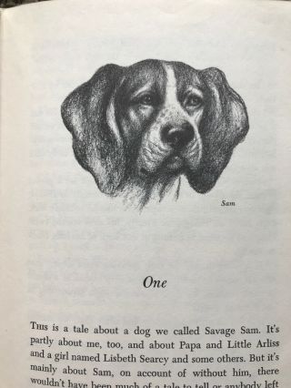 Savage Sam The Story of the Son of Old Yeller Vintage Book 1962 Fred Gipson 5