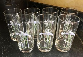 Iris Tumbler Water / Drinking Glass - Set Of Eight (8) - Vintage