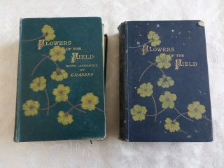 2 X Books - Flowers Of The Field Second With Appendix On Grasses - 1890s