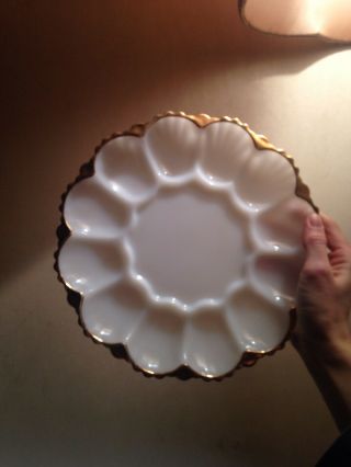 Vintage White Milk Glass Deviled Egg Oyster Plate With Gold Trim