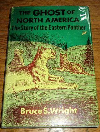 Eastern Panther Story The Ghost Of North America By Bruce Wright 1959 1st Dj