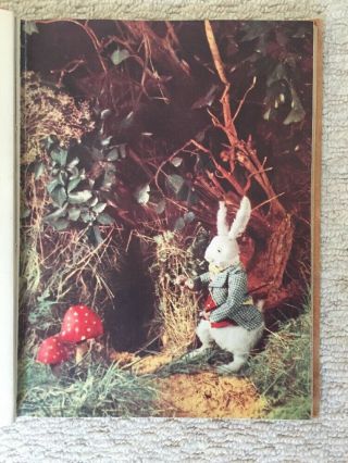 Alice ' s Adventures in Wonderland.  Parrish 1951 Lewis Carroll Colour Illustration 4