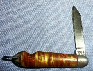 Vintage Hammer Brand Small Pocket Knife 1 Blade,  2 " Closed Tight Great Snap