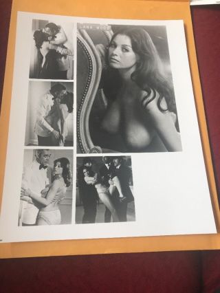 Lana Wood Sexy Vintage 8 X 10 Photograph From Irving Klaws Archives