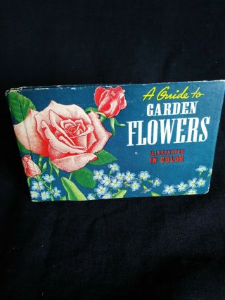 A Guide To Garden Flowers Illustrated In Color - - Vintage Id Reference,  61 Pages