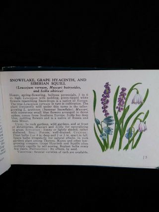 A GUIDE TO GARDEN FLOWERS ILLUSTRATED IN COLOR - - VINTAGE ID REFERENCE,  61 PAGES 4