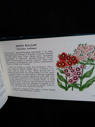 A GUIDE TO GARDEN FLOWERS ILLUSTRATED IN COLOR - - VINTAGE ID REFERENCE,  61 PAGES 5