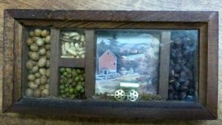 Vintage Wood Frame Shadow Box - Seeds,  Beans,  Metal Wagon Diorama - 3 X 6 Inches