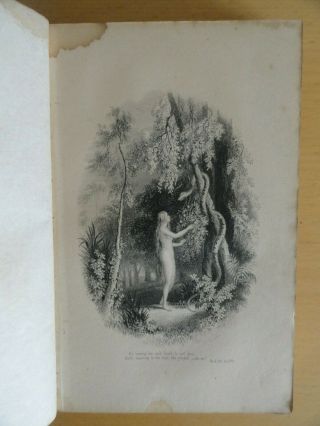 Milton Paradise Lost & Regained Illus Channing Preface Adam Eve Plts 1864
