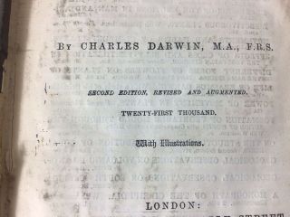 The Descent of Man; and Selection in Relation to Sex.  Second Edition 1887 Darwin 5