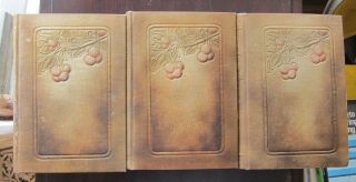 Luther Burbank: Methods & Discoveries 1914 3 Vols Presentation Tipped In Illus
