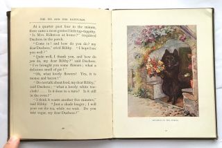 BEATRIX POTTER - The Pie And The Patty - Pan 1905 Frederick Warne 10 colour Plates 7