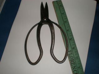 Vintage - Bonsai Scissors - Japanese