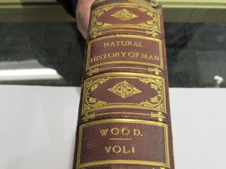 1868 The Natural History Of Man By Rev J.  G.  Wood 1st Edition
