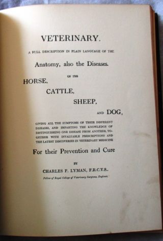 VIRTUE ' S HOUSEHOLD PHYSICIAN A 20TH CENTURY MEDICA VOL V (VIRTUE & CO 1906?) 4