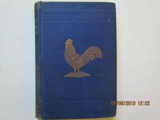 The Practical Poultry Keeper By L.  Wright 1886 Judd Ny