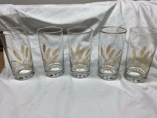 Vintage Libbey Wheat 5 1/2” Gold Rimmed Drinking Glasses Set Of 5