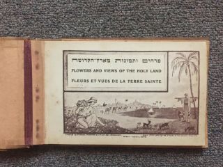 Flowers And Views Of The Holy Land - Vintage Color Plates & Dried Flowers