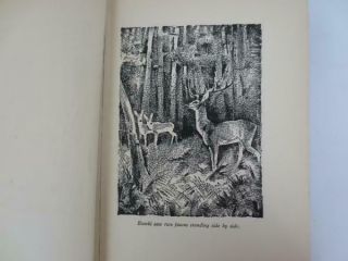 Bambi A Life in the Woods,  by Felix Salten - 1928 First Edition Hardcover 3