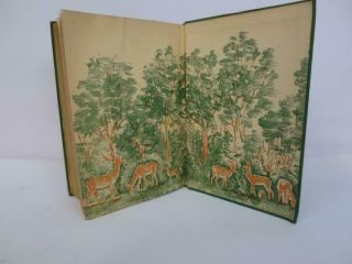 Bambi A Life in the Woods,  by Felix Salten - 1928 First Edition Hardcover 5