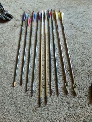 8 Vintage Bear Wooden Arrows W/ Feather Flechings,  2 Others